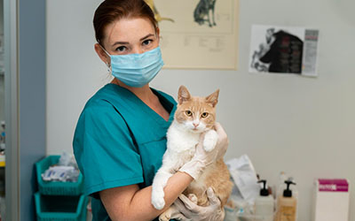 Atendimento veterinário em Poá