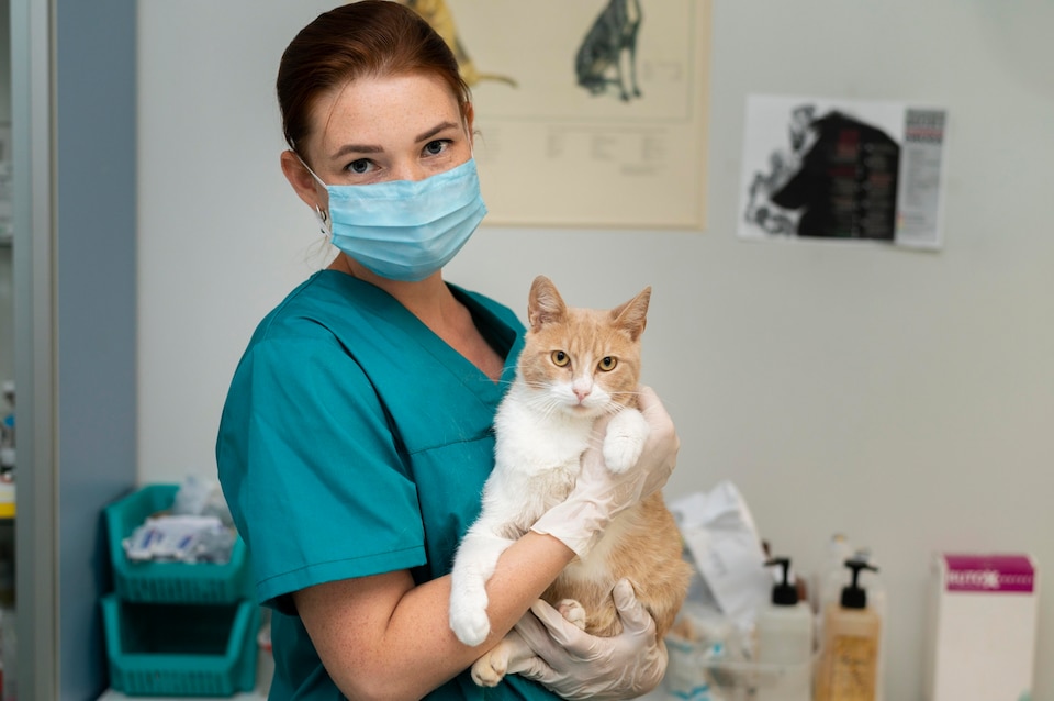 Atendimento veterinário em Poá