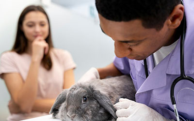 Clínica veterinária para animais silvestres na Zona Leste SP